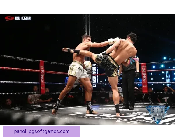 拳击世界纪录大揭秘:挑战极限、创造传奇,席卷擂台的壮举! 拳击世界纪录大揭秘:挑战极限、创造传奇,席卷擂台的壮举!