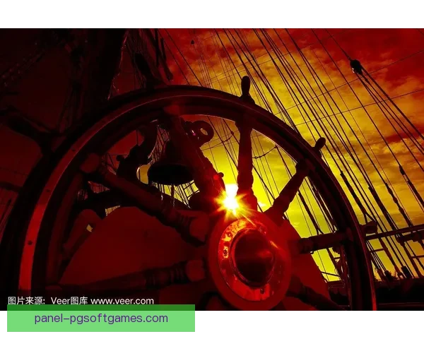 掌舵起航：帆船教学视频全程解析