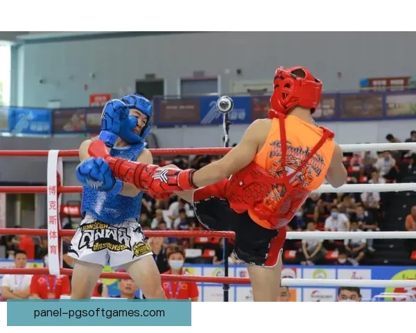 搏击风云：强者对决，拳击公开赛火爆开幕