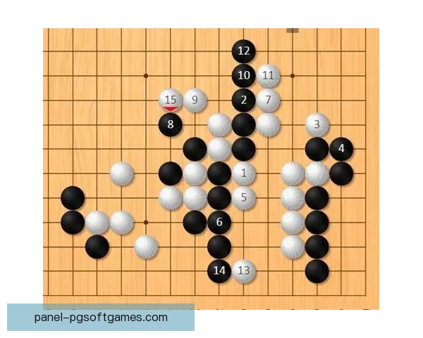 激情角逐：挑战者与冠军的对决将引发怎样的火花？