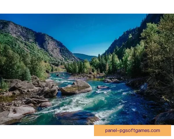 冲浪排名研究：优秀技巧与实用建议