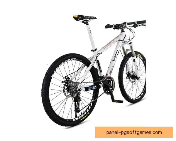 初学者山地车入门指南：顺利踏上骑行之路