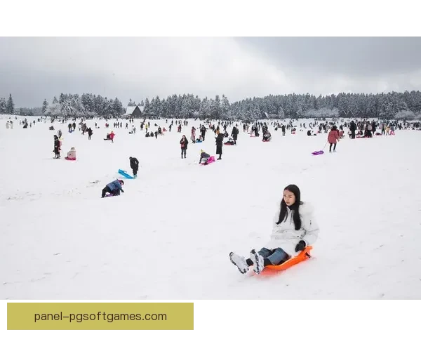 掌握滑雪技巧，轻松畅享雪地乐趣