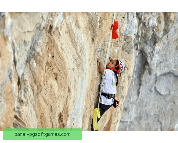 攀岩公开赛：挑战高度，争夺冠军