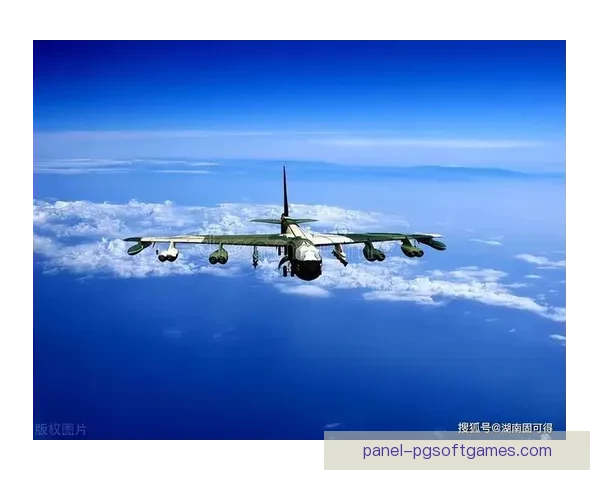 滑雪冠军的辉煌征程：风雪无阻，勇往直前