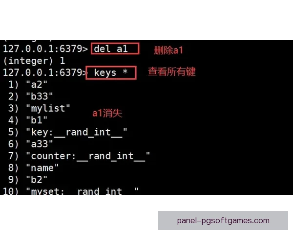 滑冰数据分析：优化技术训练与比赛表现的关联研究