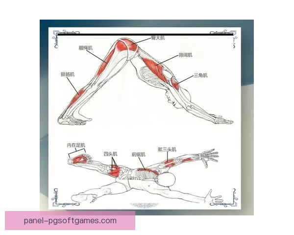 深入解析瑜伽杯赛：探寻背后的文化与奥秘