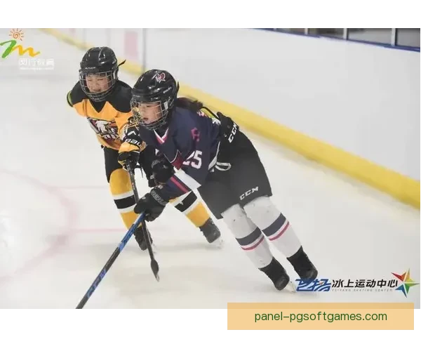 激情冰球狂欢：全明星邀请赛火热开启