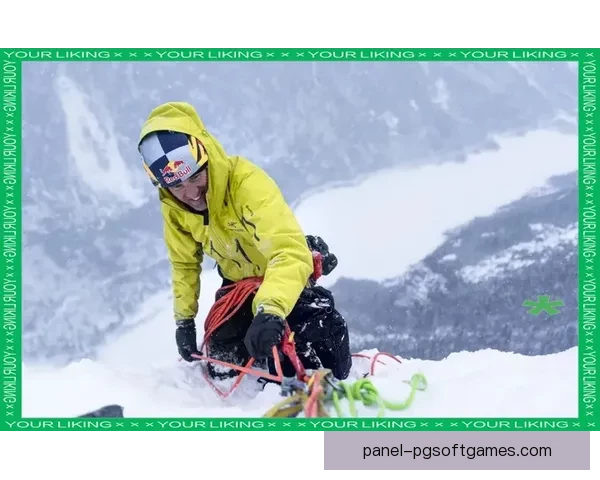 登山赛事:挑战极限,征服高峰 登山赛事:挑战极限,征服高峰