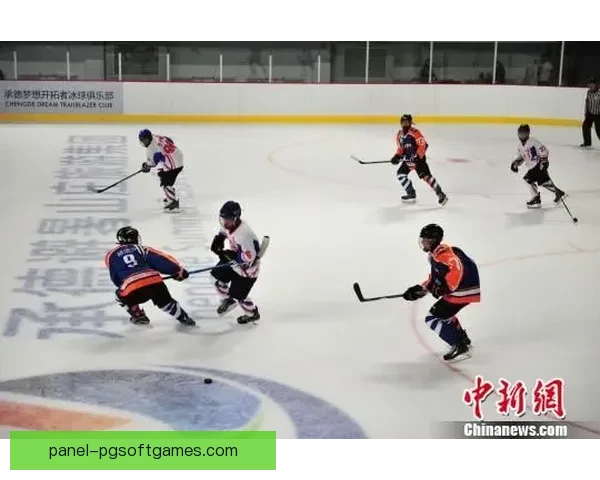 精彩冰球赛事回放大盘点