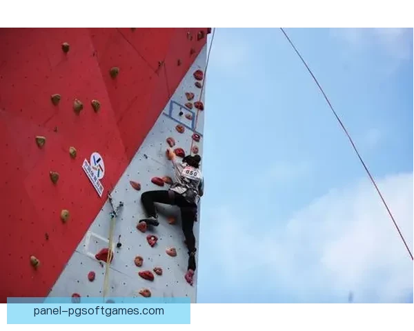 精彩纷呈:攀岩公开赛风采展示 精彩纷呈:攀岩公开赛风采展示