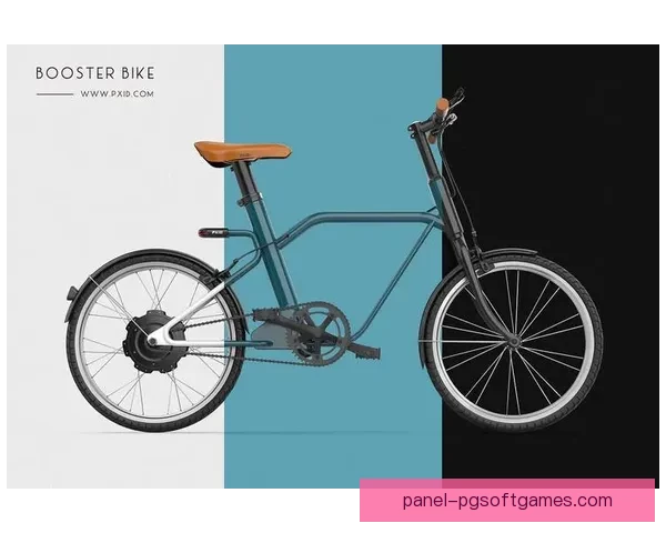 自行车发展演变史：从脚踏车到电动车的前行路径