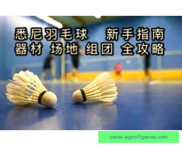 羽毛球比赛规则全解析，新手入门必备知识