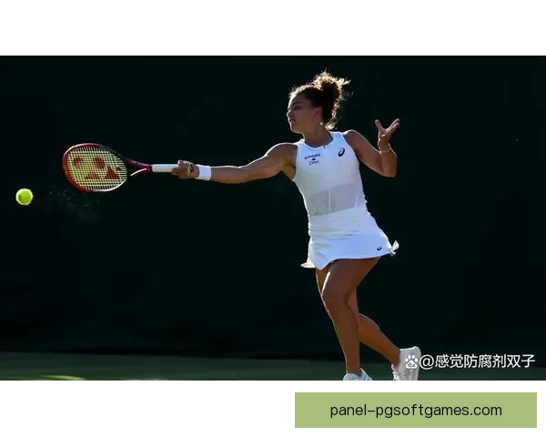 网球世界纪录:最令人难以置信的记录大揭秘 网球世界纪录:最令人难以置信的记录大揭秘