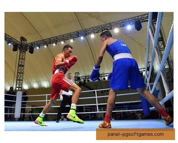 终极拳击巅峰之战：冠军争霸赛