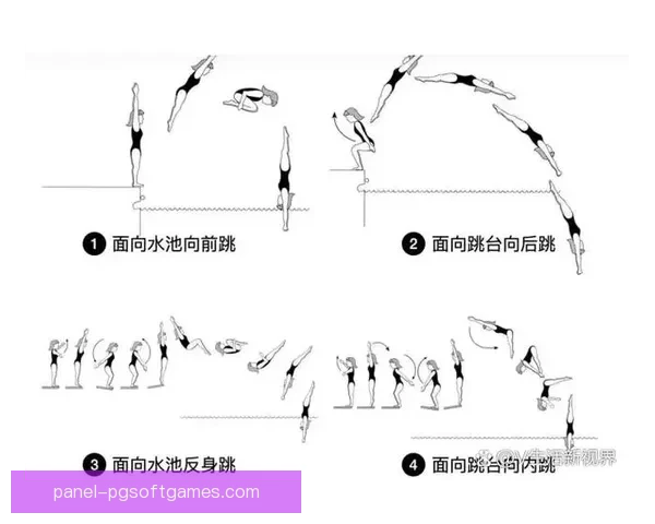 跳水规则解析及技术要点详解