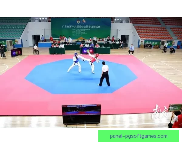 跆拳道直播：打破时空界限，让身临其境成为可能