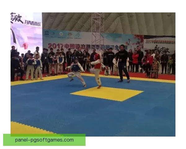 跆拳道杯赛群英荟萃，技压群雄，搏出新纪录