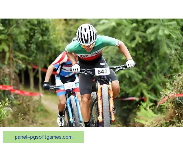 骑行风云：一场自行车赛事的全程记录