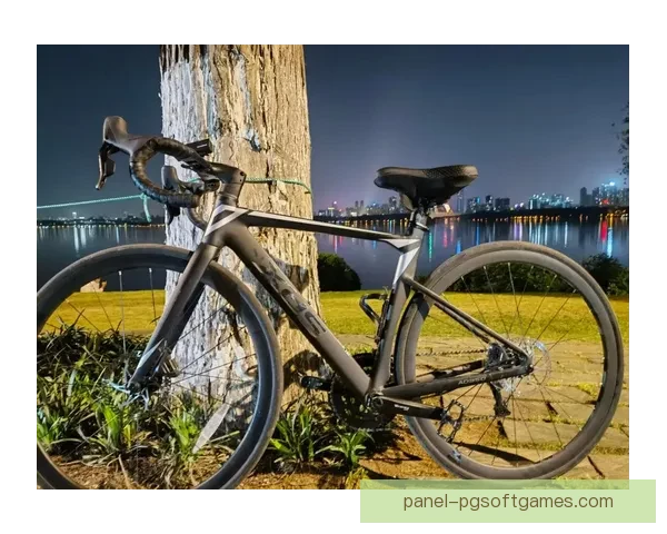 骑行历史：从脚踏车发展到共享单车