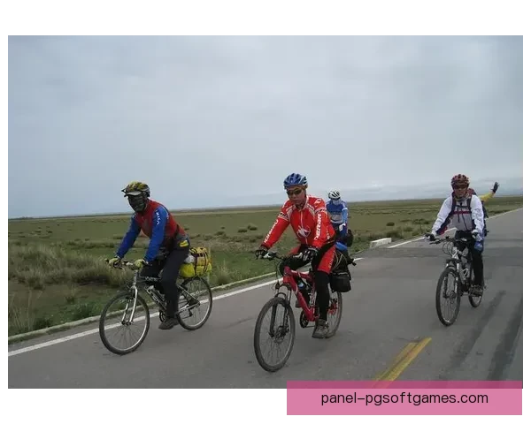 鏖战赛道：挑战极限的自行车比赛